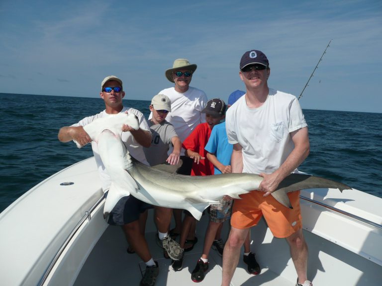 mhammerhead1 Oak Island Fishing Reports